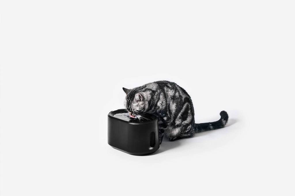 UVC Wireless Motor Pet Water Fountain