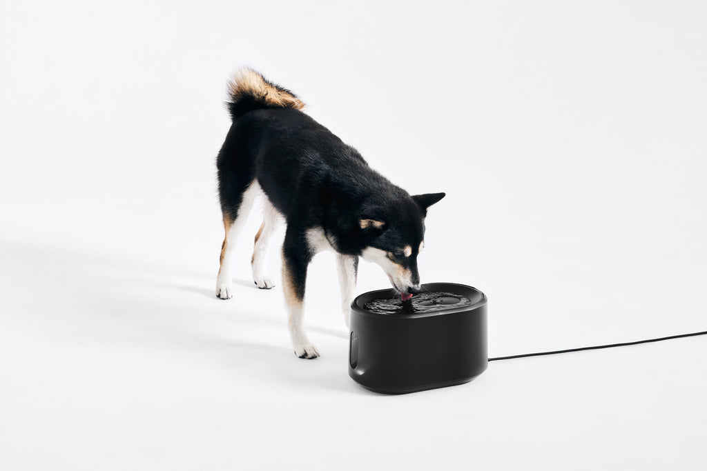 UVC Wireless Motor Pet Water Fountain