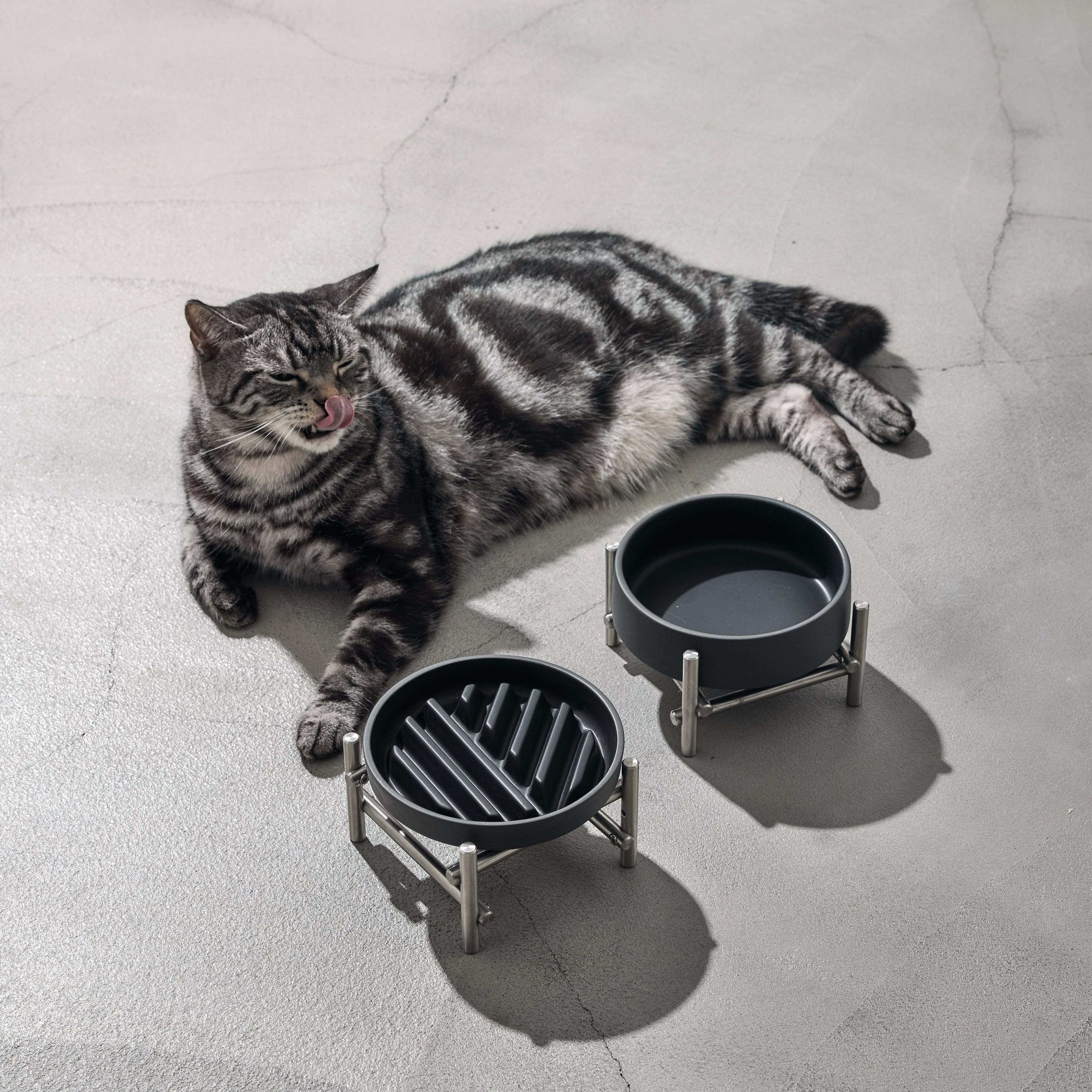 黑陶瓷寵物慢食碗