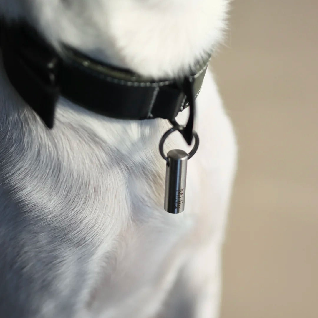 寵物不鏽鋼名牌