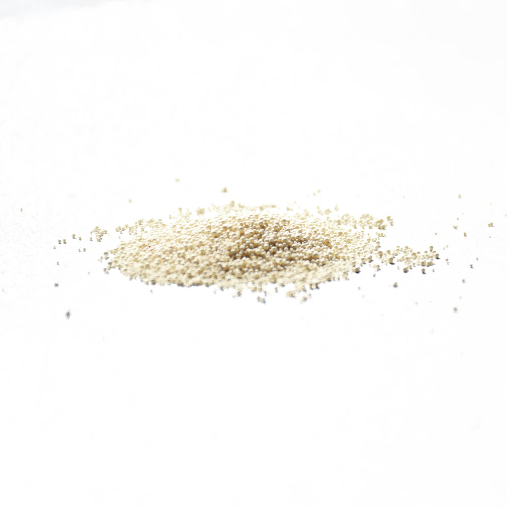 Mattte 寵物飲水機原廠濾芯組