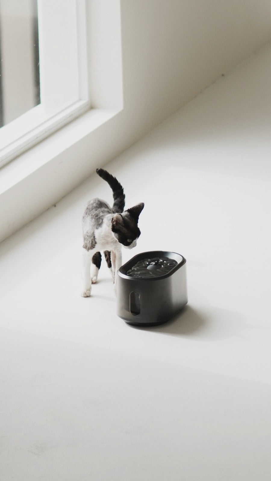Mattte UVC Pet Water Fountain