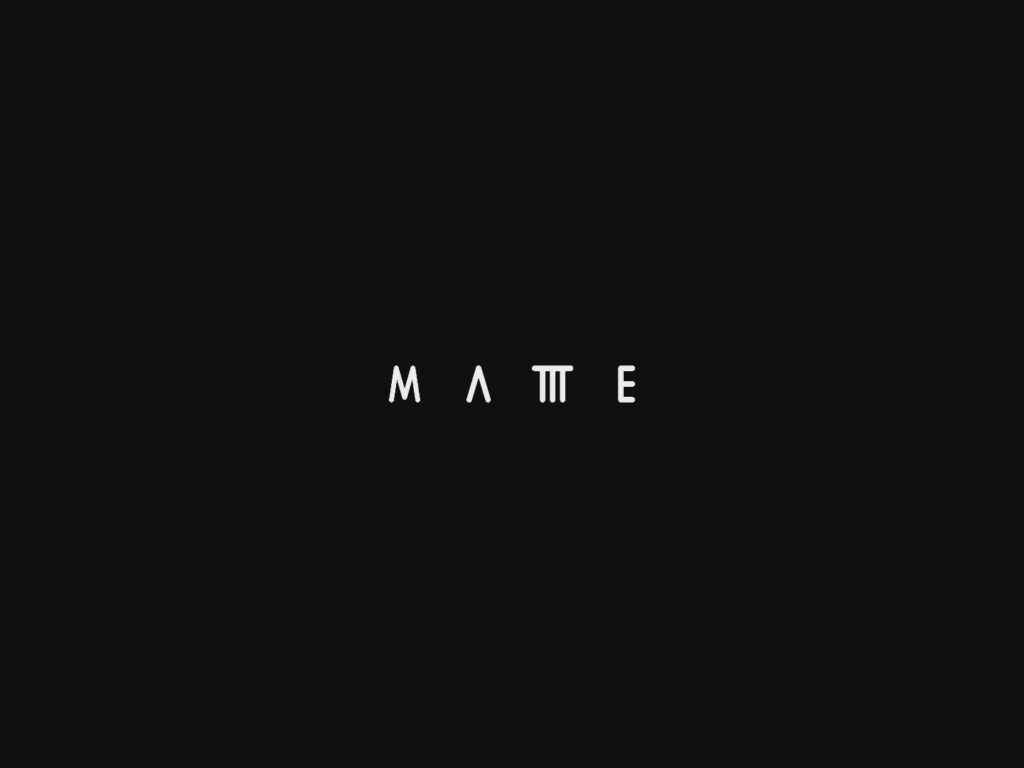 Mattte Black Ceramic Slow Feeder Bowl